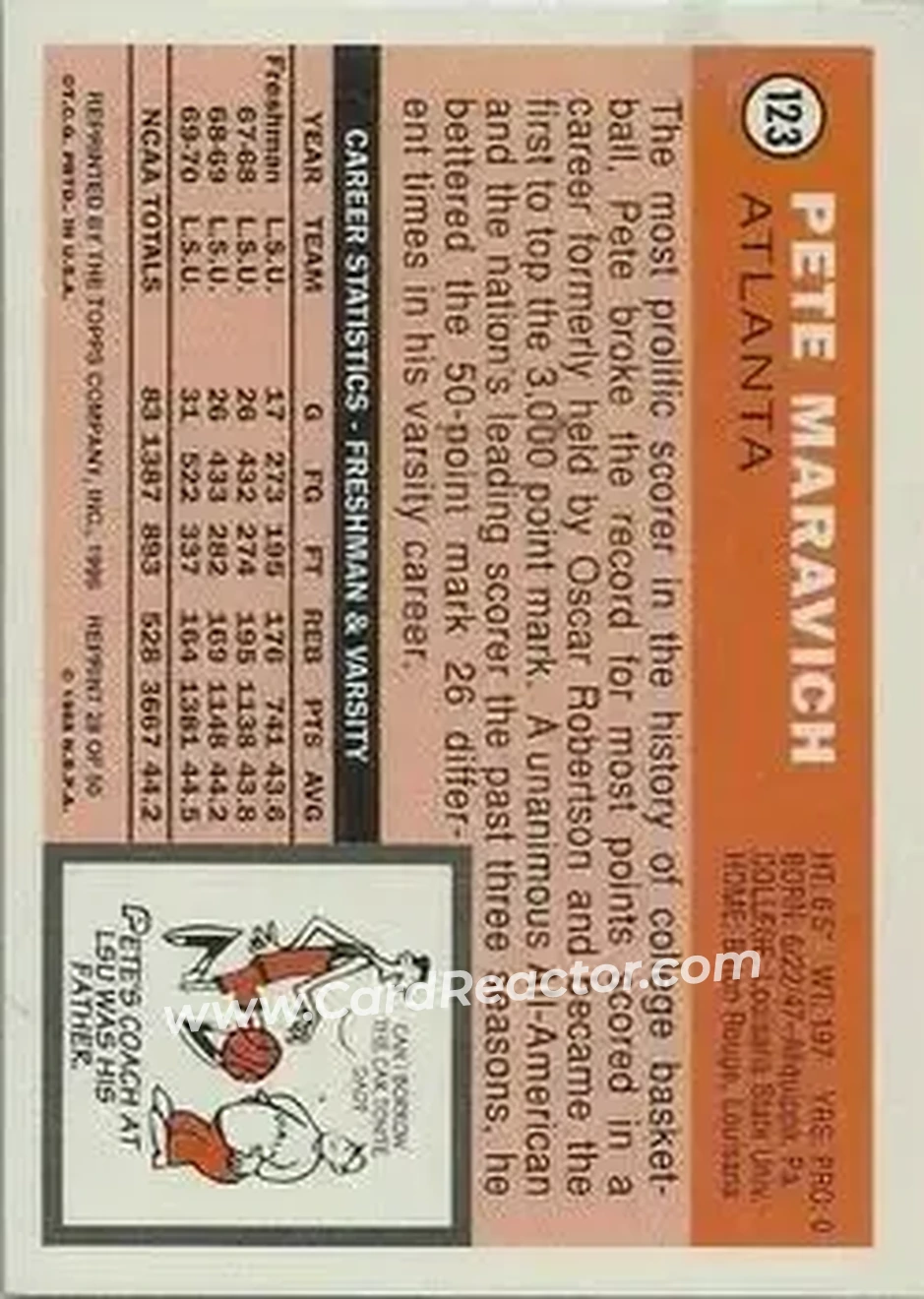 Back of Pete Maravich