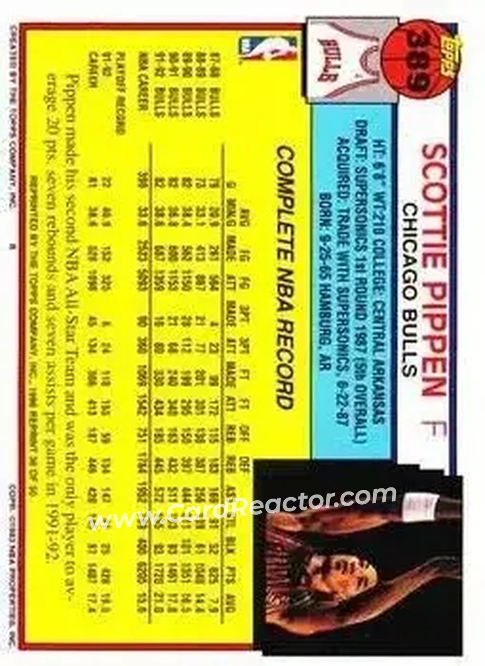 Back of Scottie Pippen