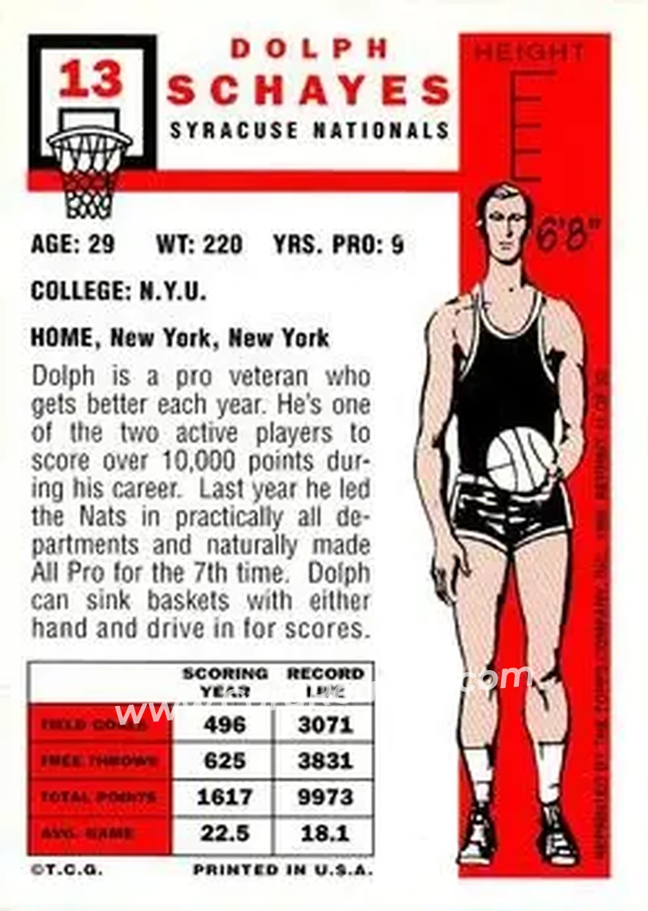 Back of Dolph Schayes