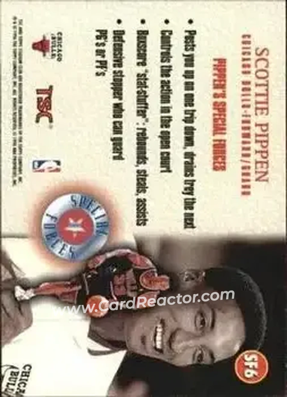 Back of Scottie Pippen