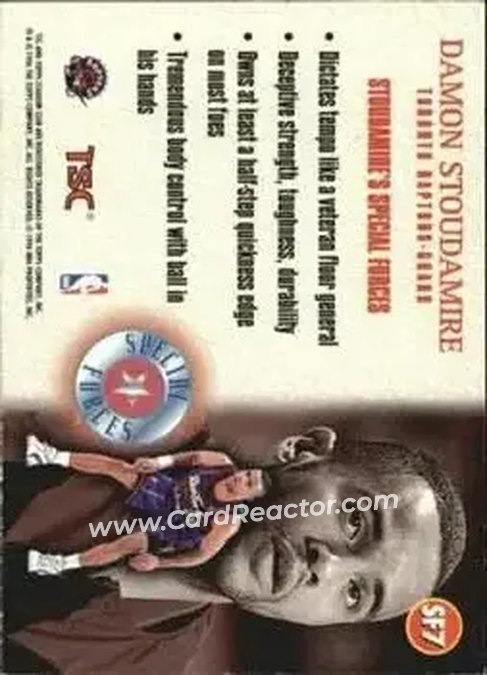 Back of Damon Stoudamire