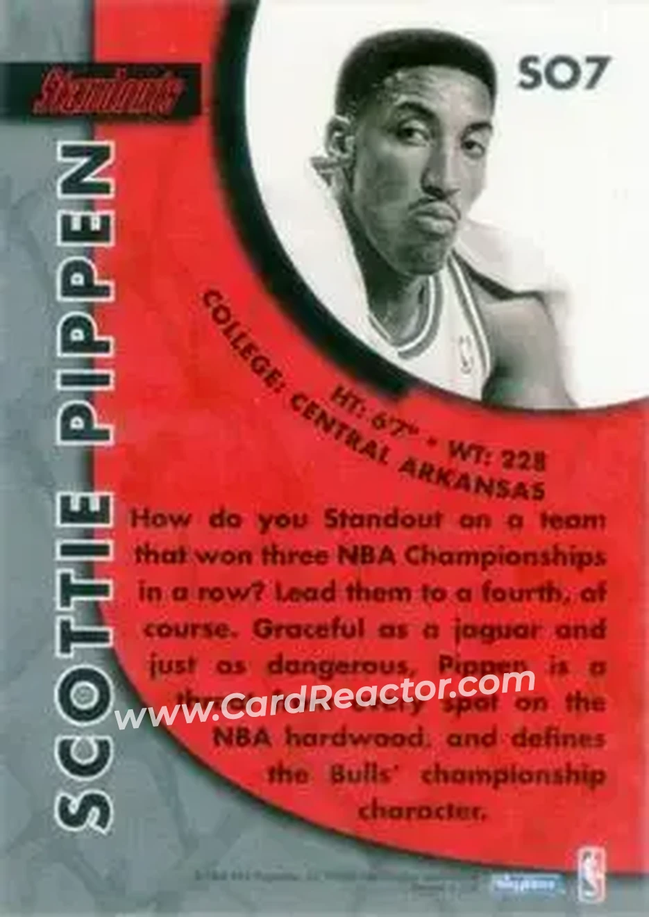 Back of Scottie Pippen