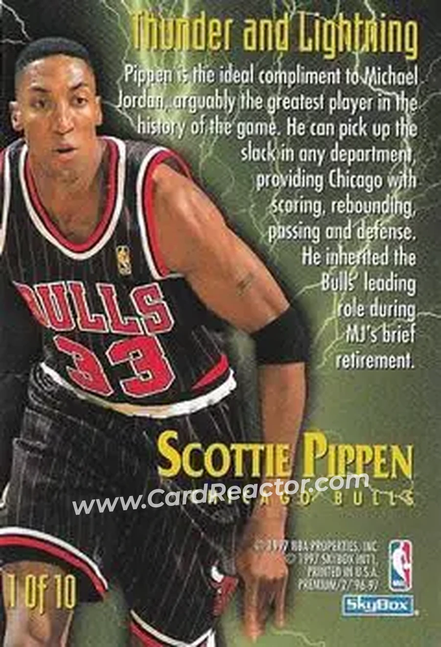 Back of Scottie Pippen