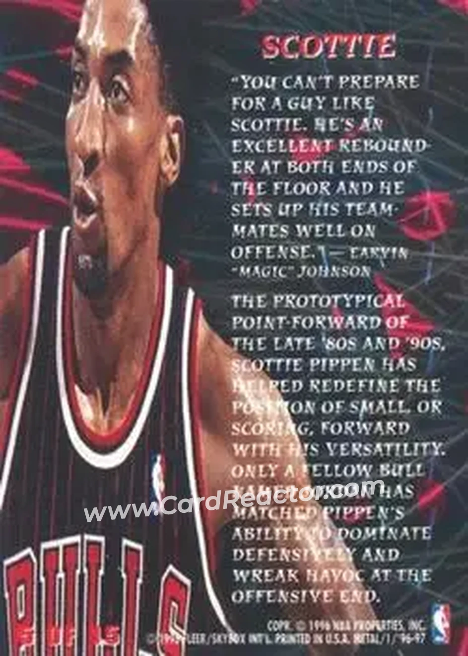 Back of Scottie Pippen