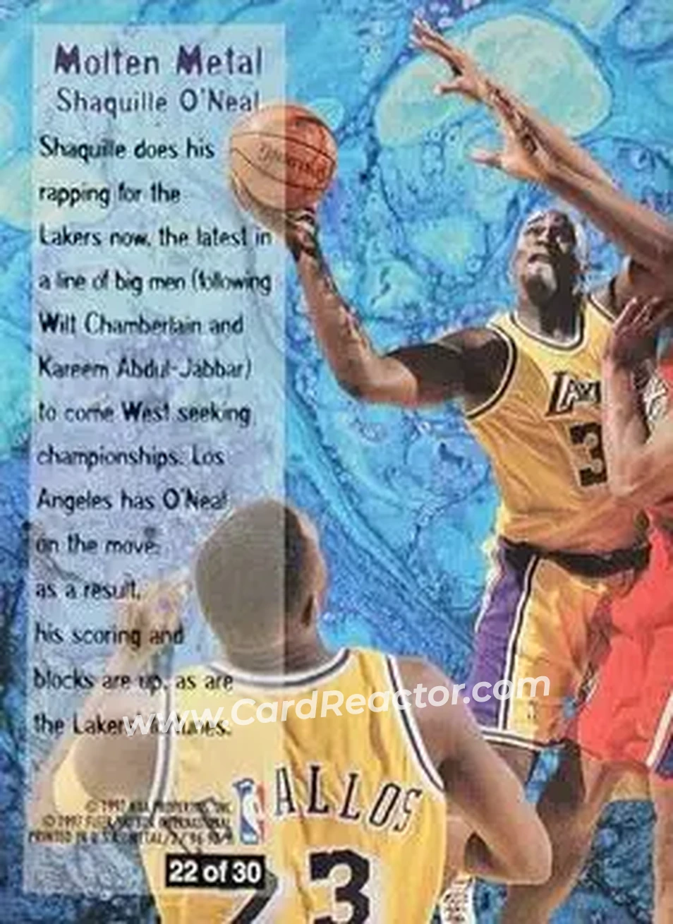 Back of Shaquille O'Neal