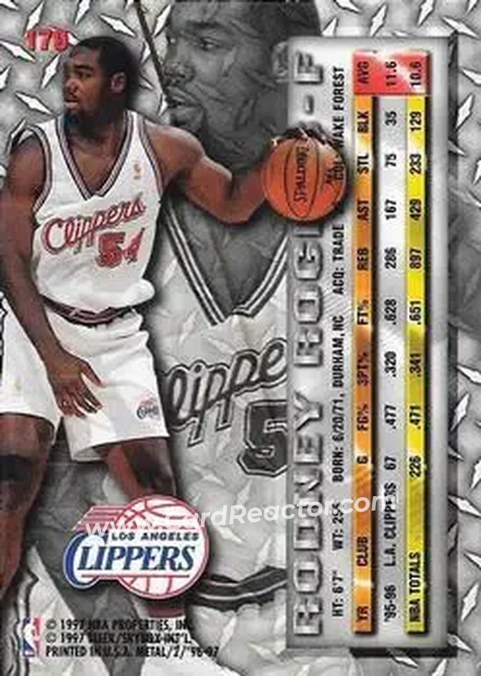 Back of Rodney Rogers