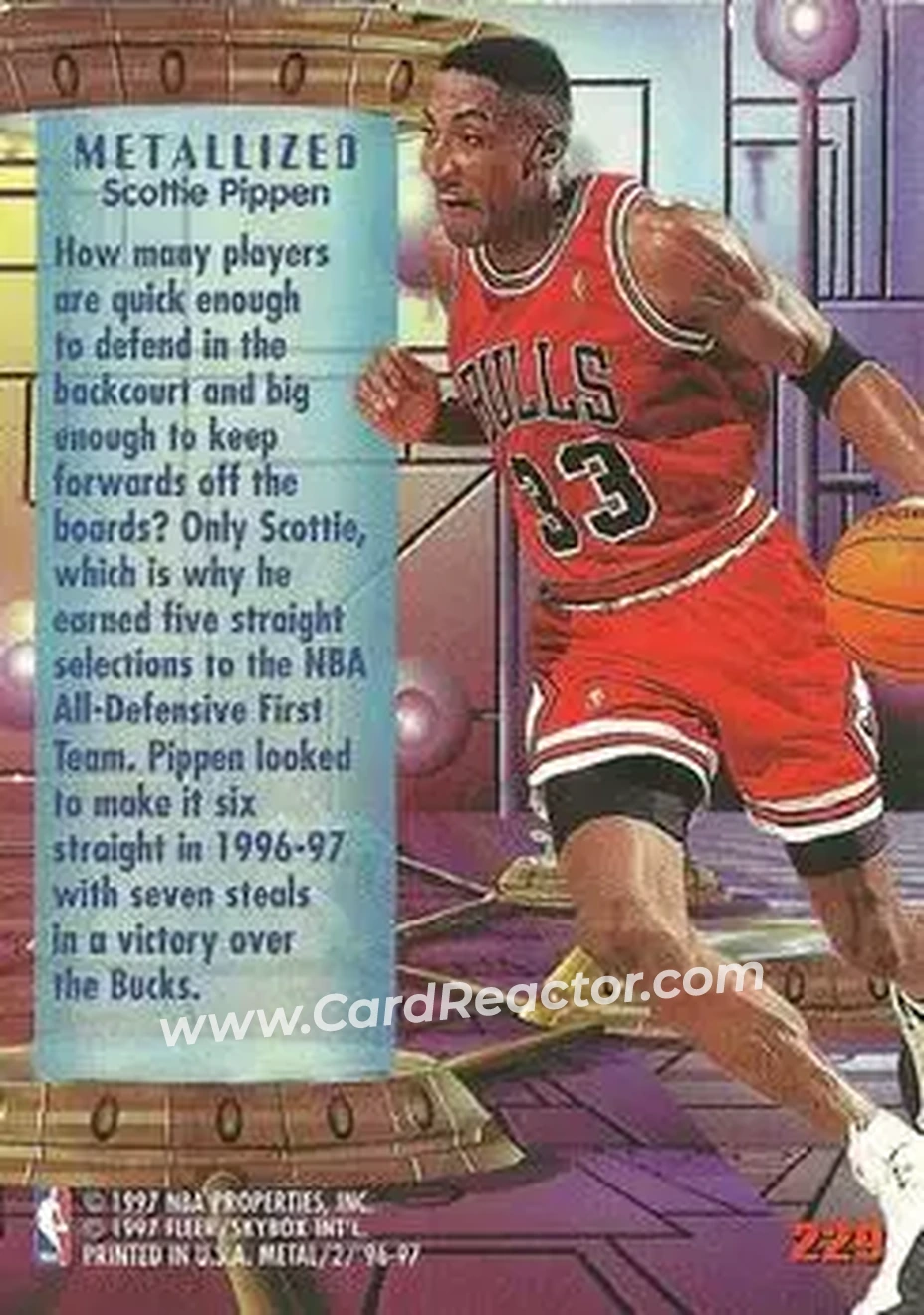 Back of Scottie Pippen