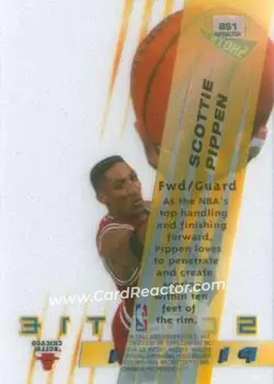 Back of Scottie Pippen