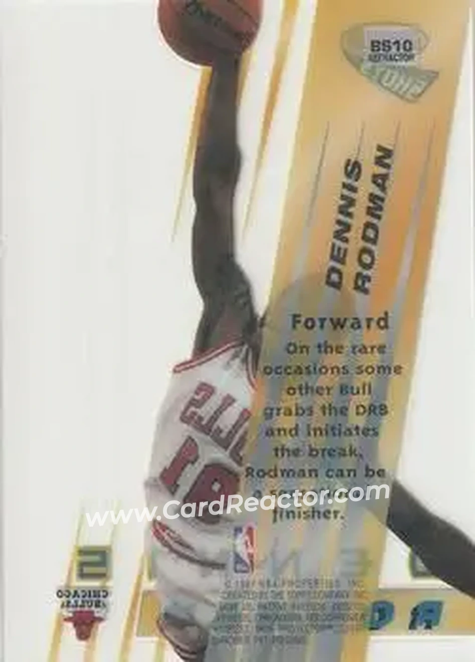 Back of Dennis Rodman