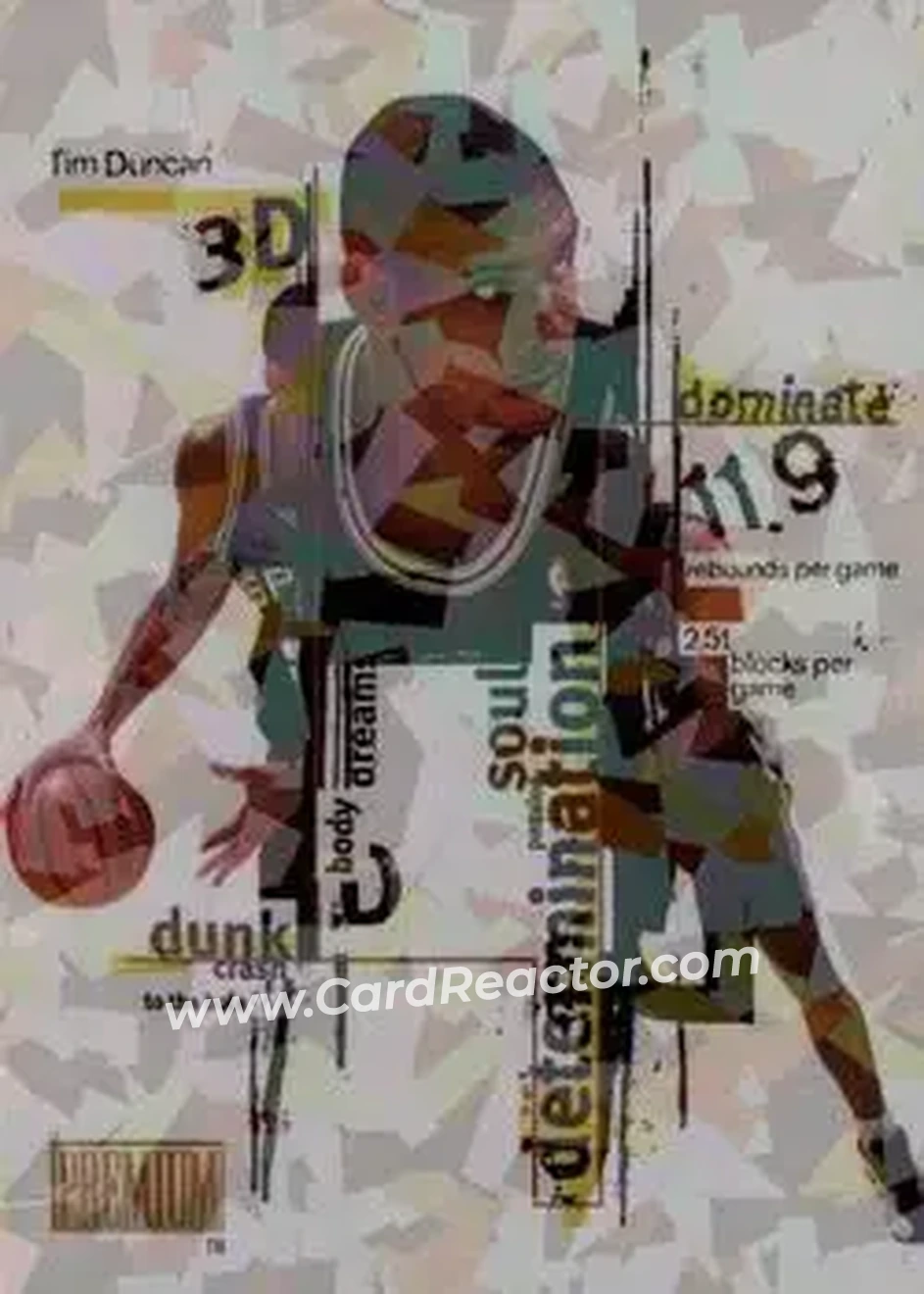 Front of Tim Duncan