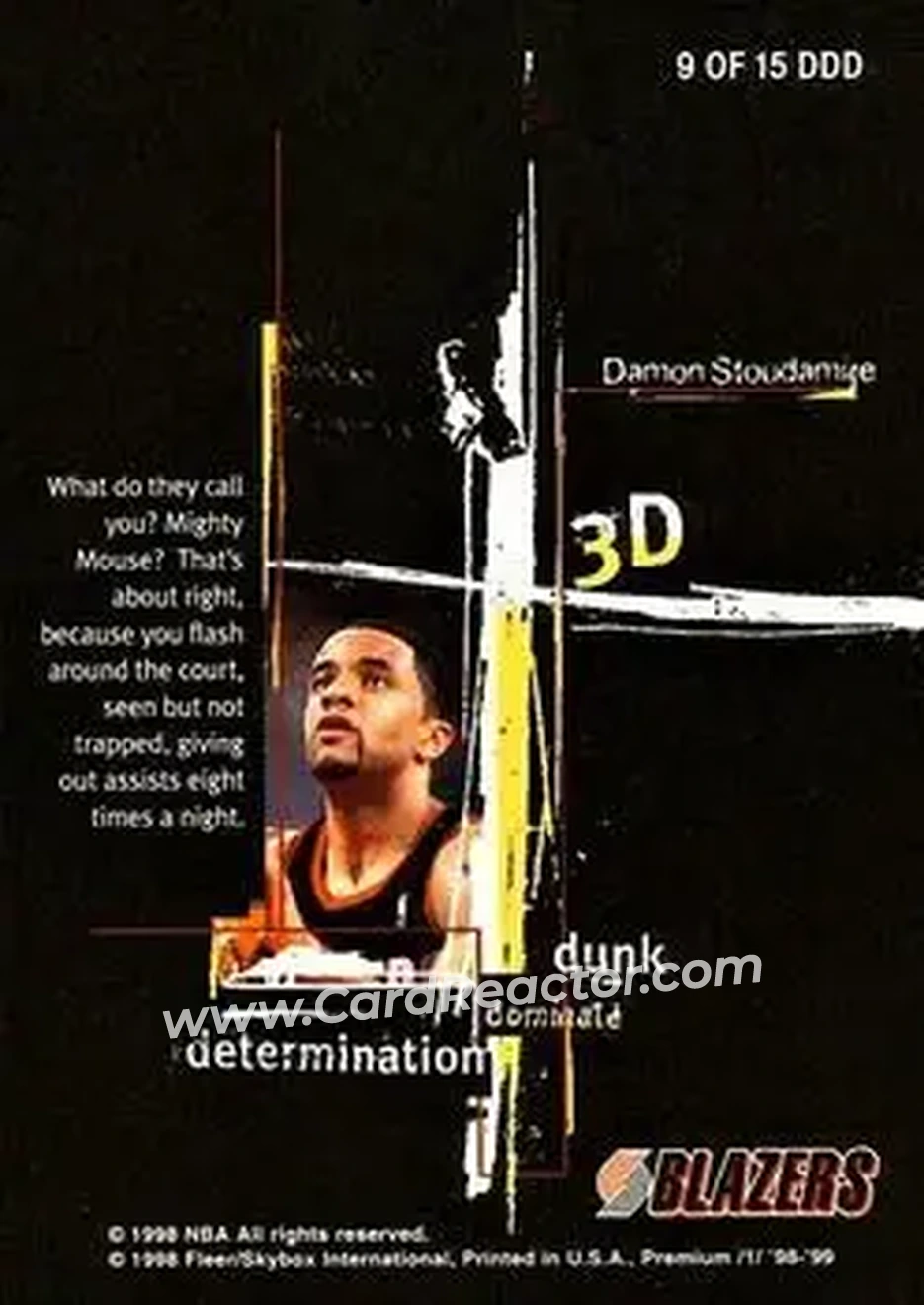 Back of Damon Stoudamire