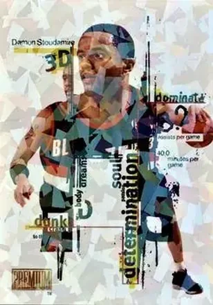 1998-99 SkyBox Premium #9 DDD 3D Damon Stoudamire