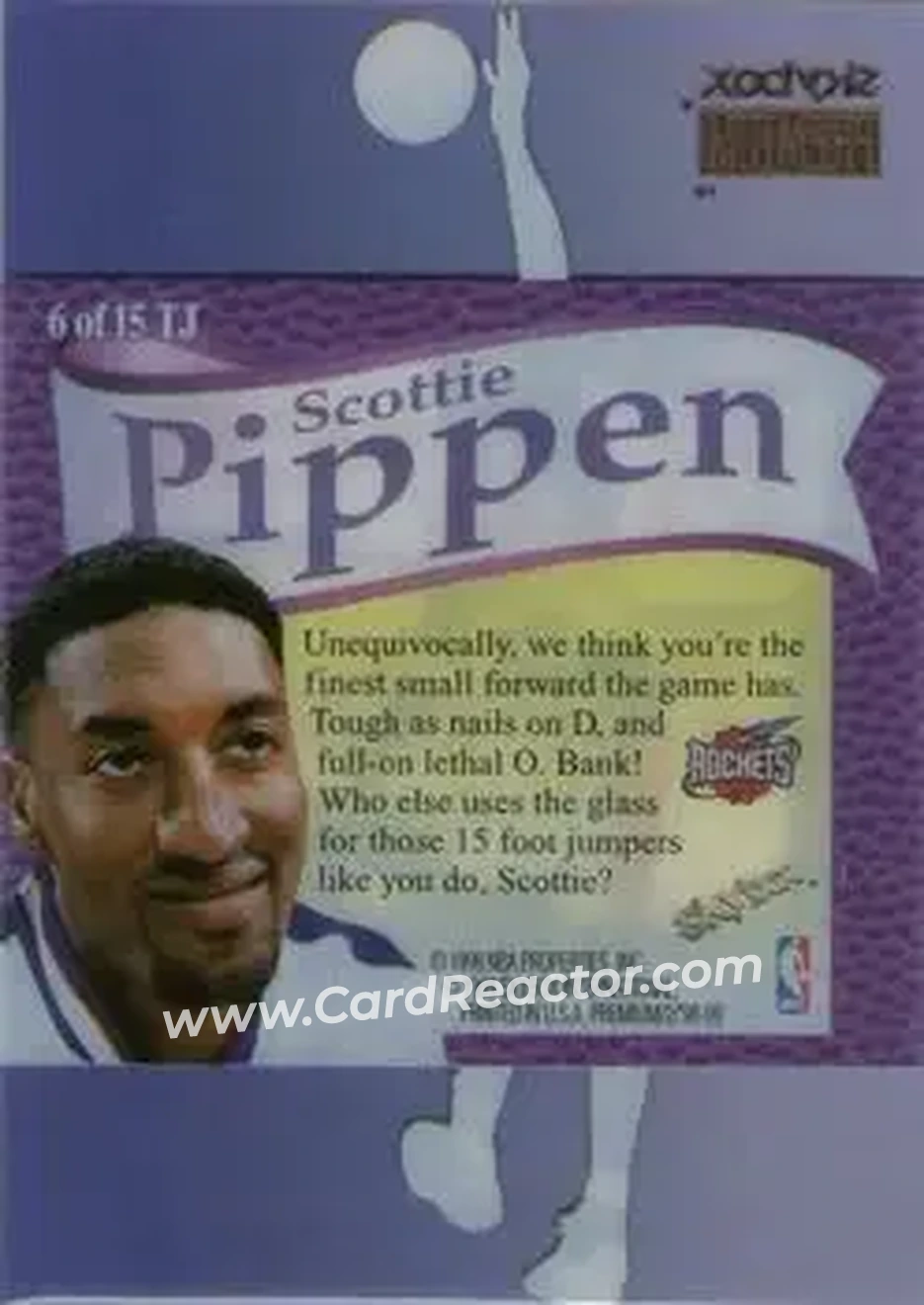 Back of Scottie Pippen