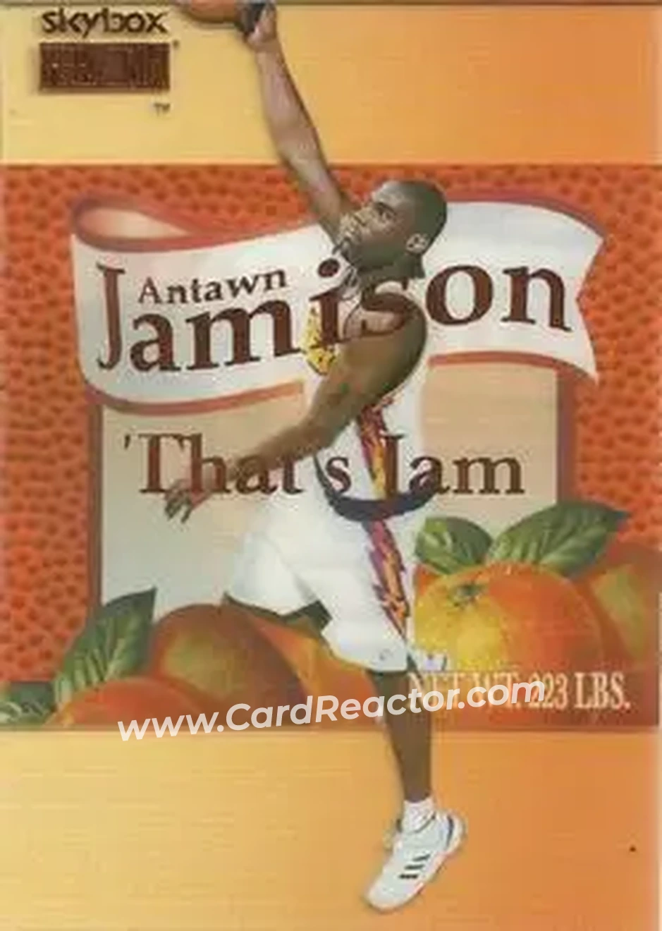 Front of Antawn Jamison