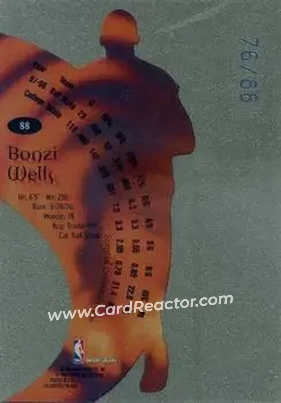 Back of Bonzi Wells