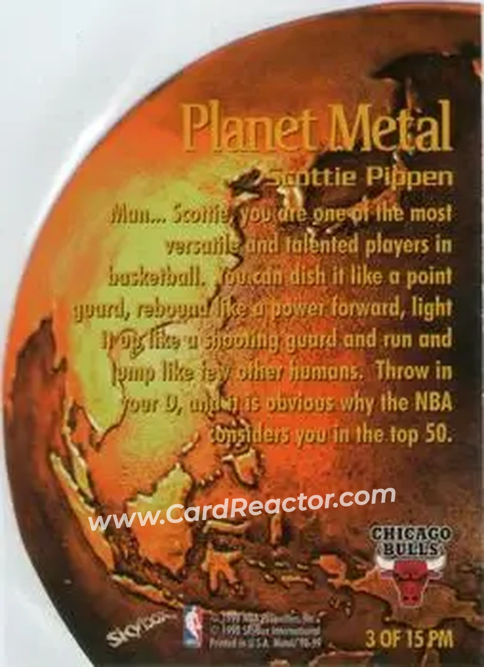 Back of Scottie Pippen