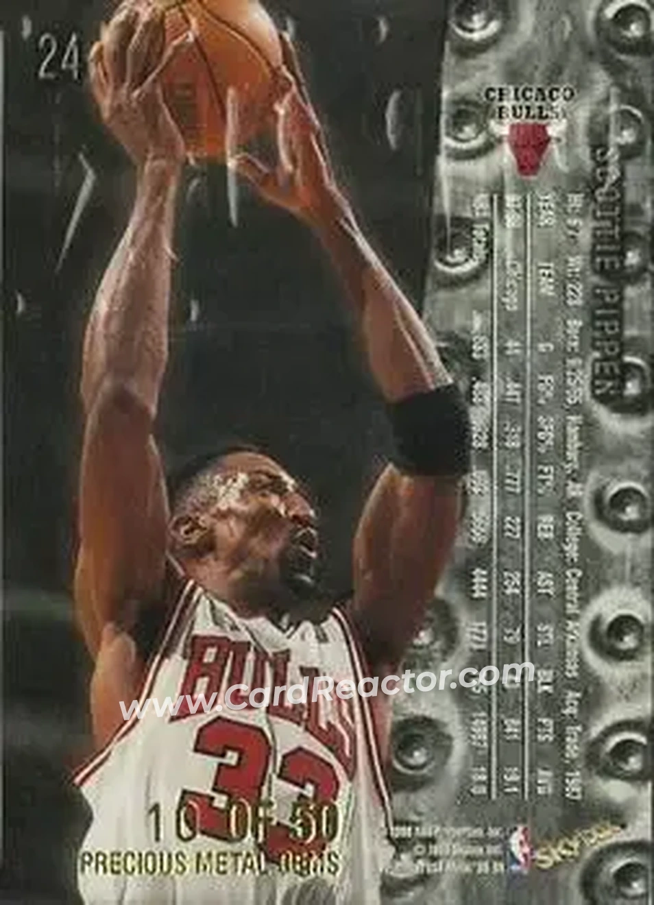 Back of Scottie Pippen
