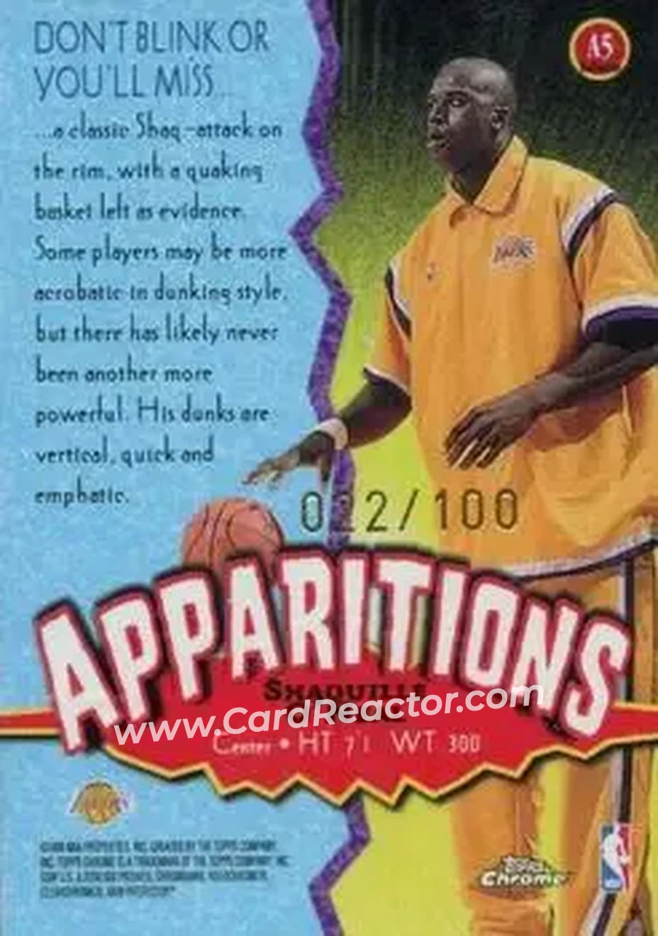 Back of Shaquille O'Neal