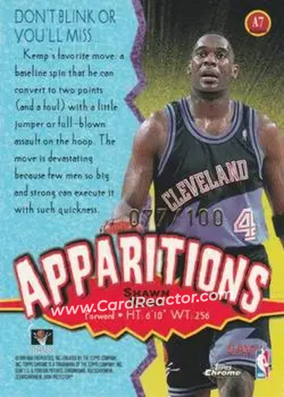 Back of Shawn Kemp