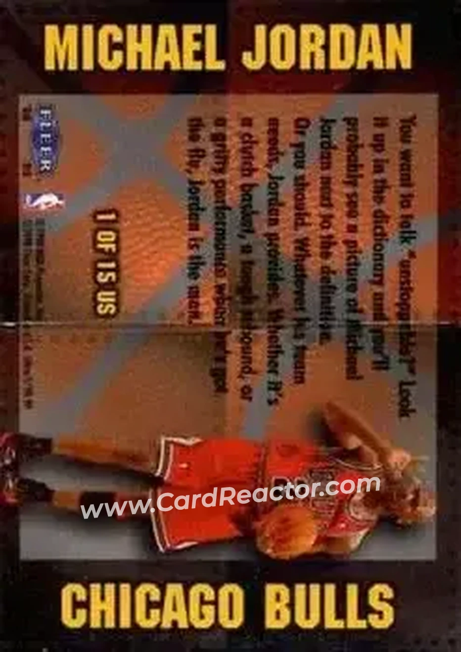 Back of Michael Jordan