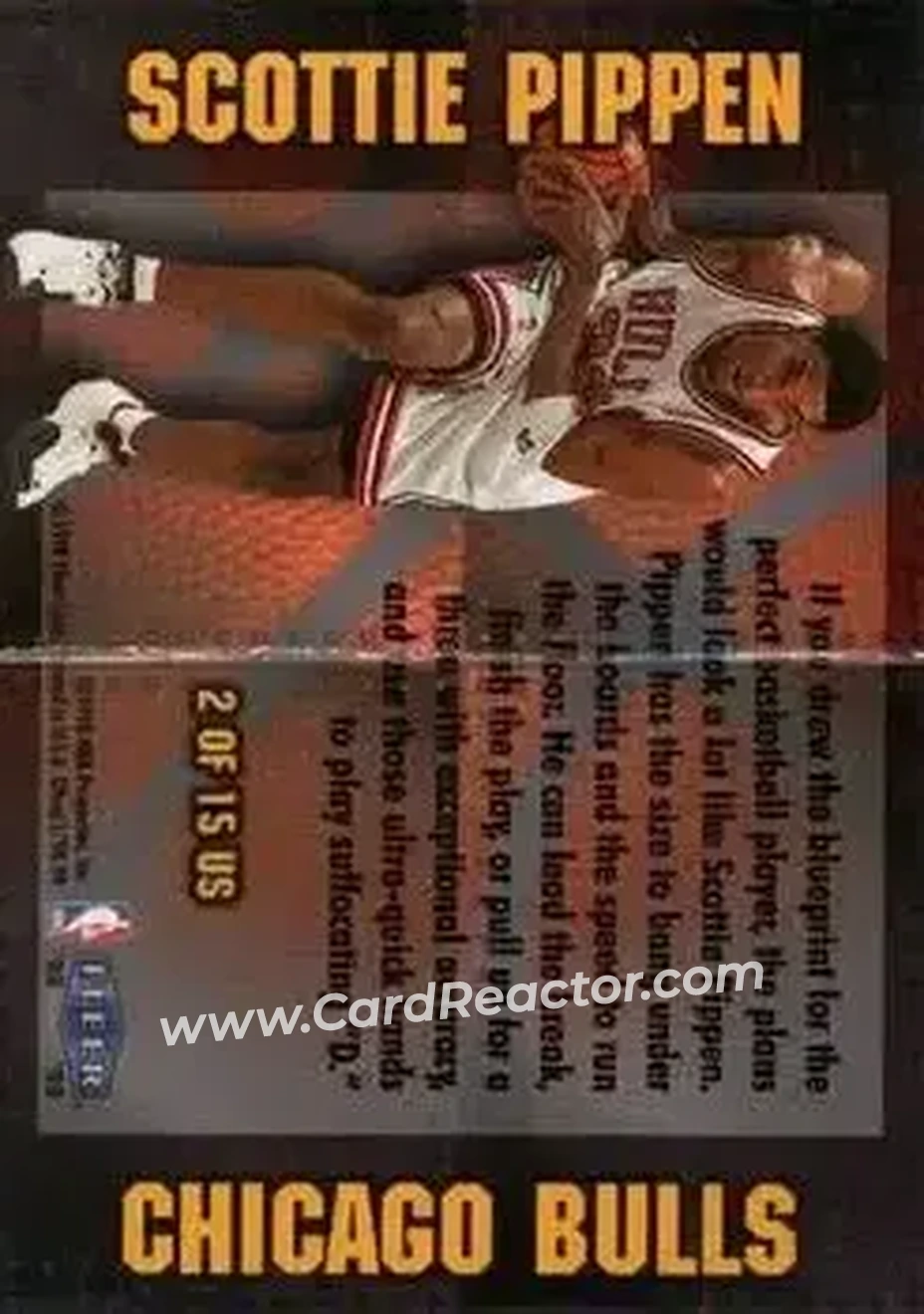 Back of Scottie Pippen