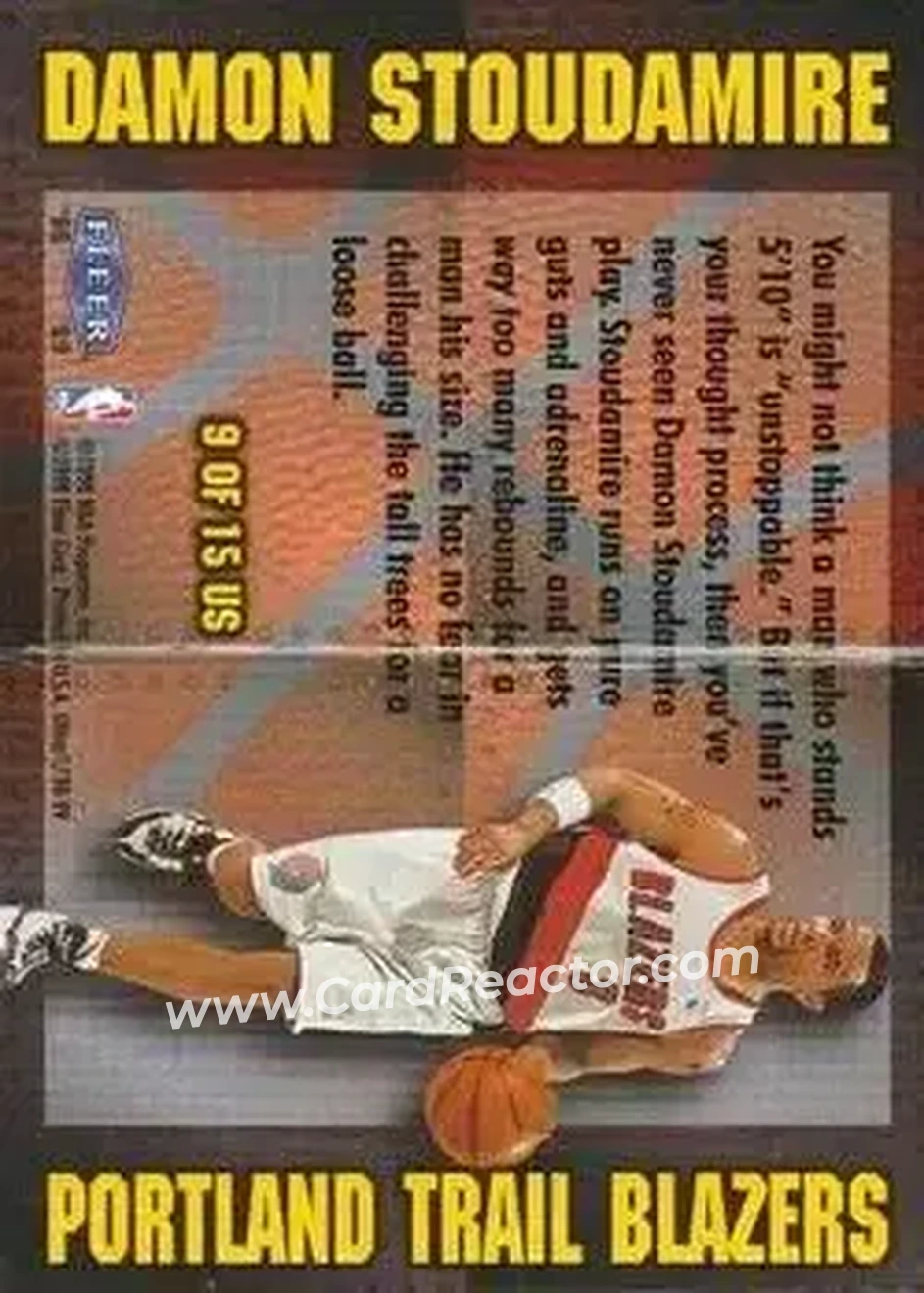 Back of Damon Stoudamire