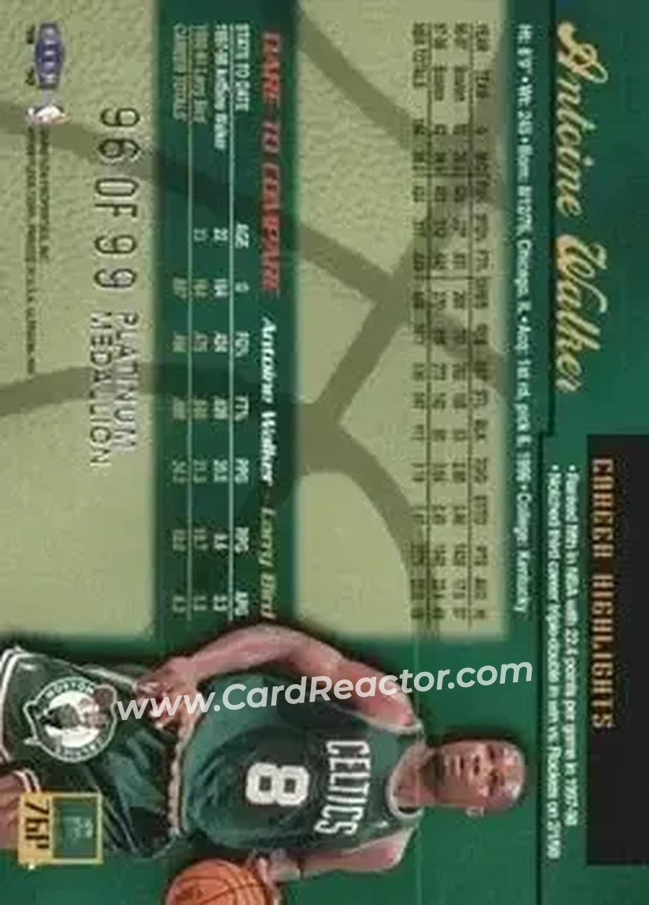 Back of Antoine Walker