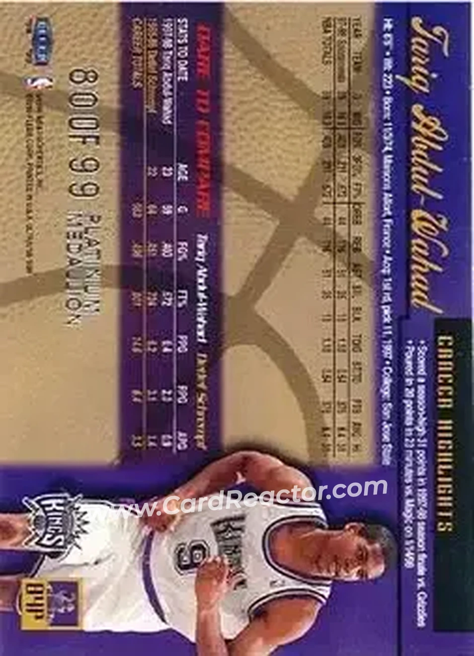 Back of Tariq Abdul-Wahad
