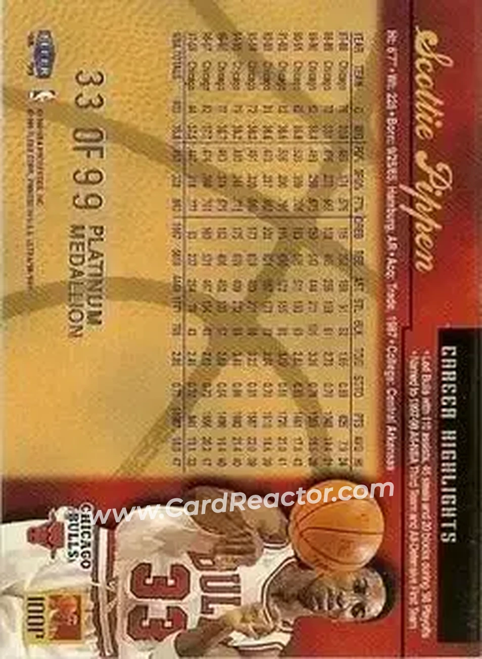 Back of Scottie Pippen