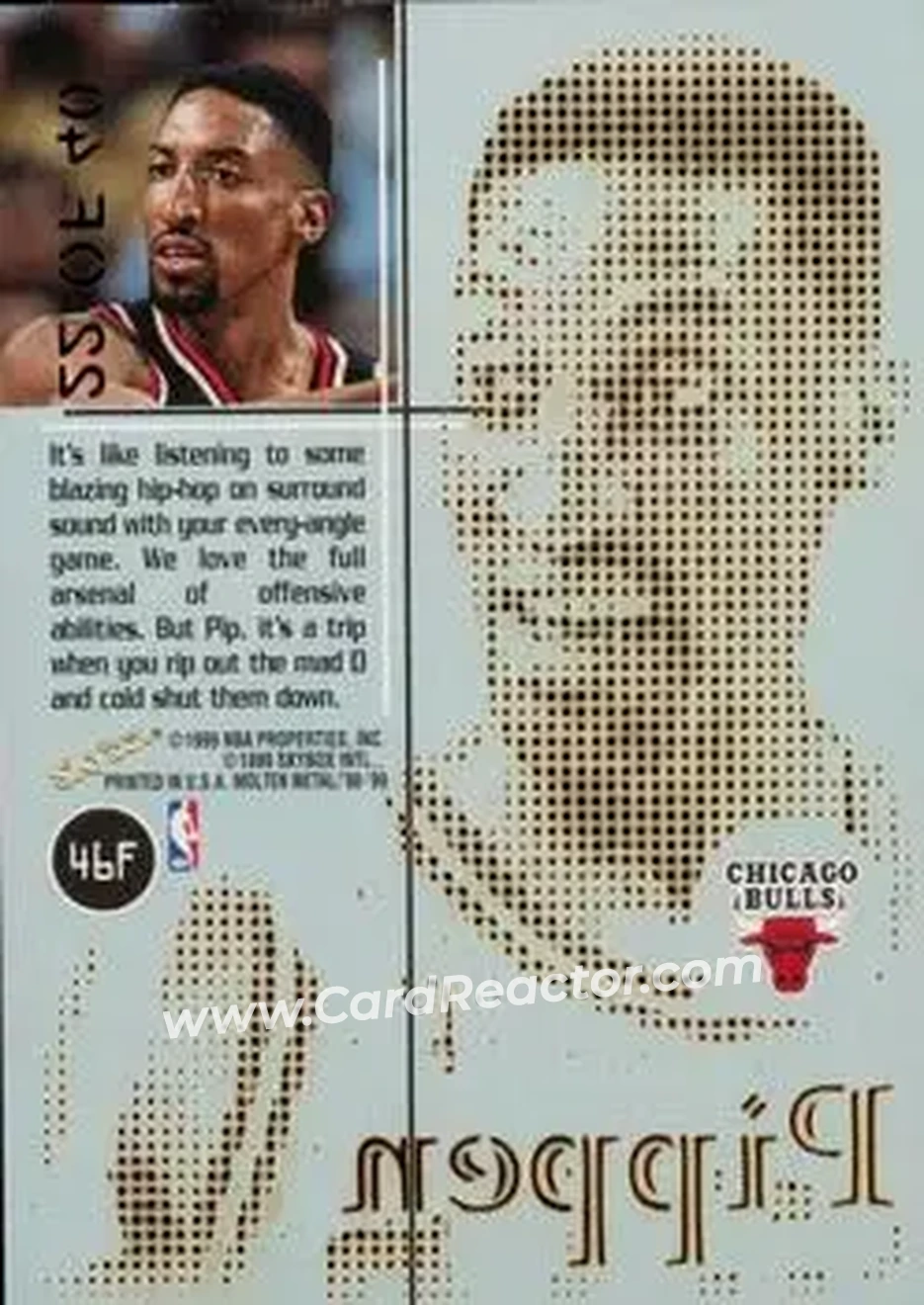 Back of Scottie Pippen