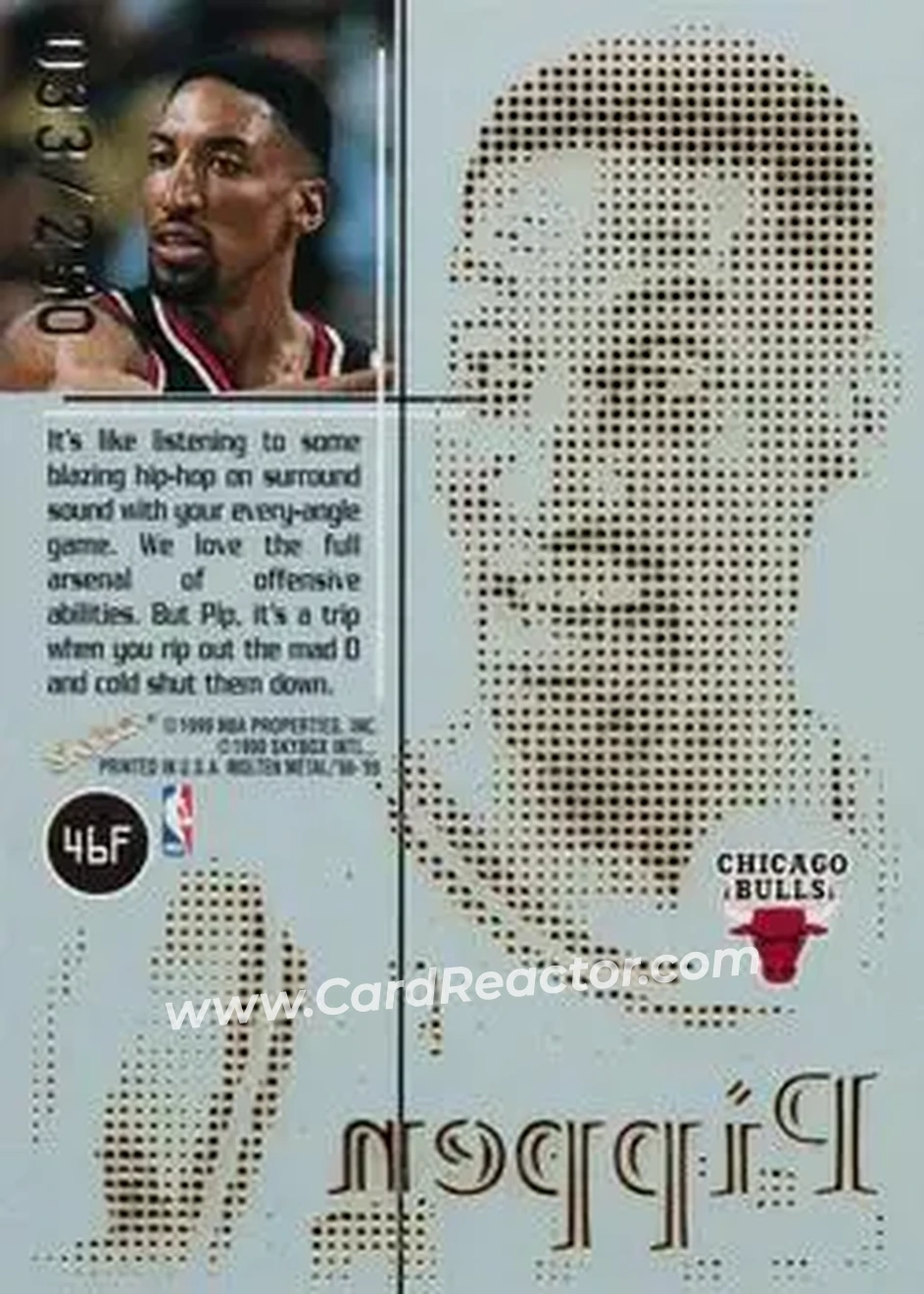 Back of Scottie Pippen