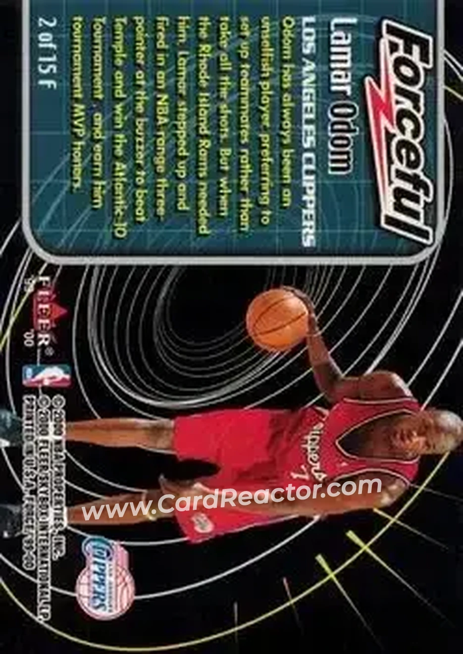 Back of Lamar Odom
