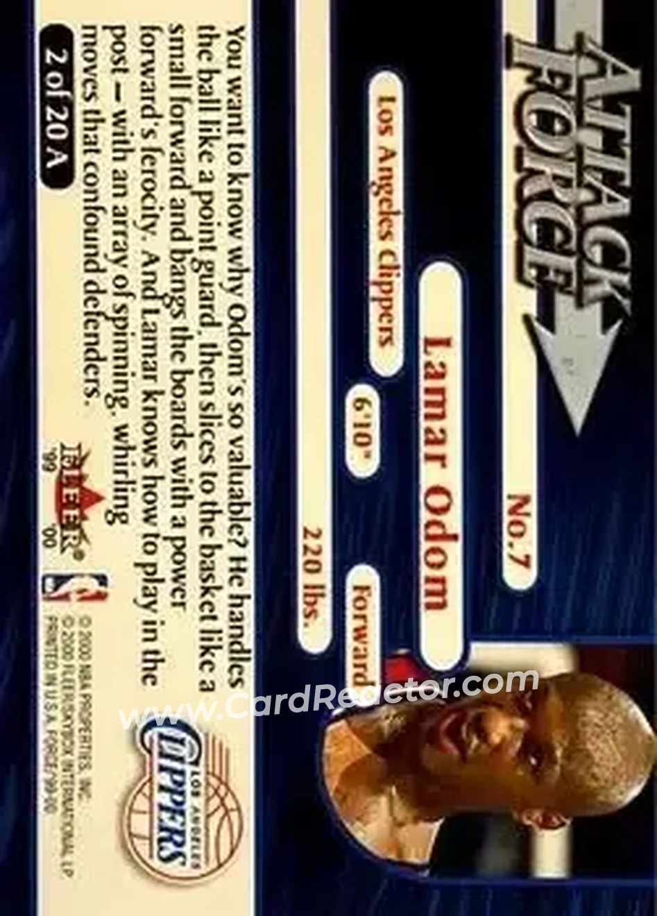 Back of Lamar Odom