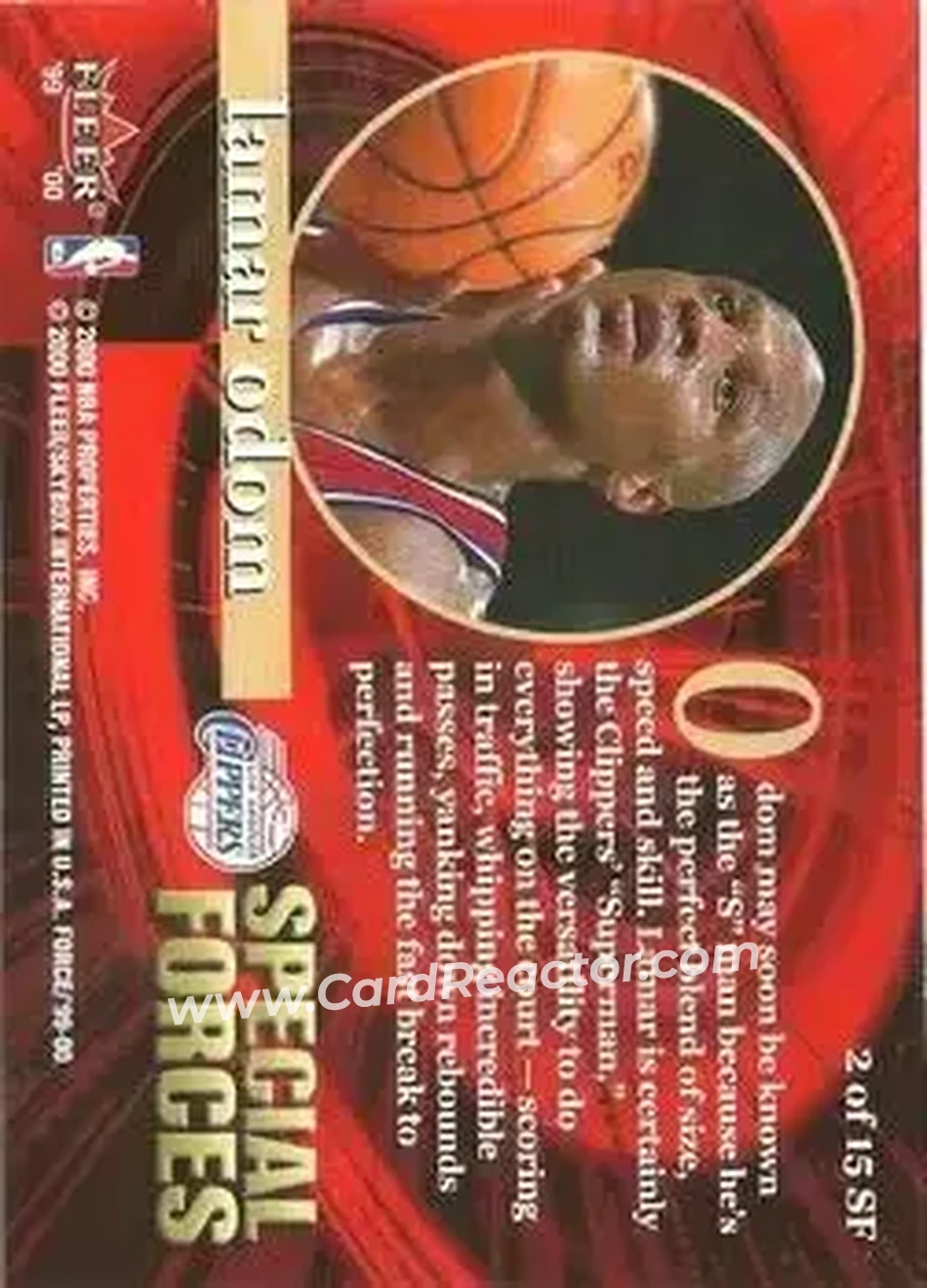 Back of Lamar Odom