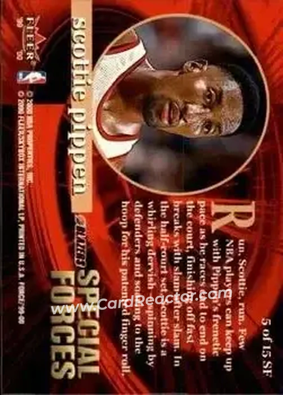 Back of Scottie Pippen