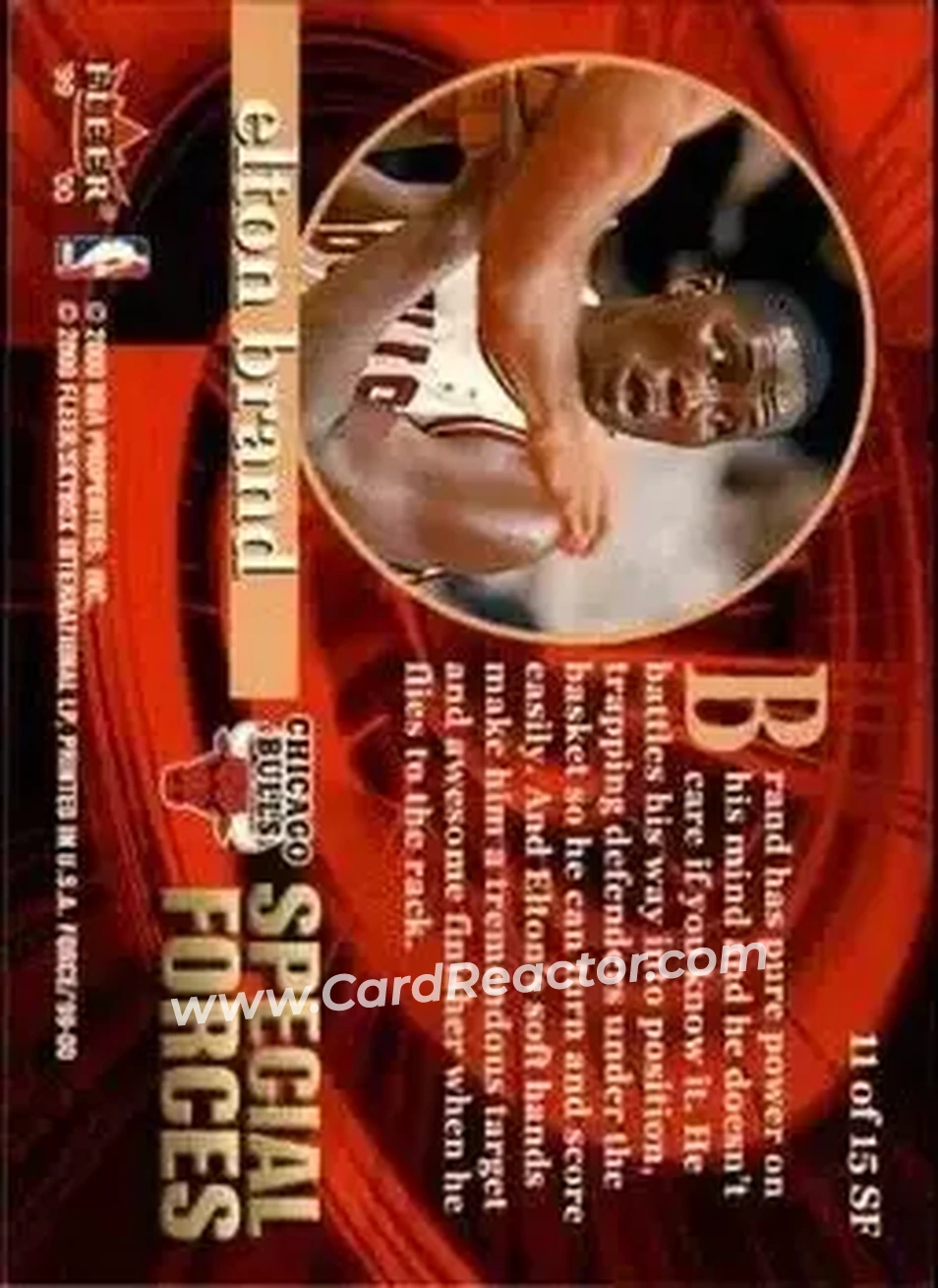 Back of Elton Brand