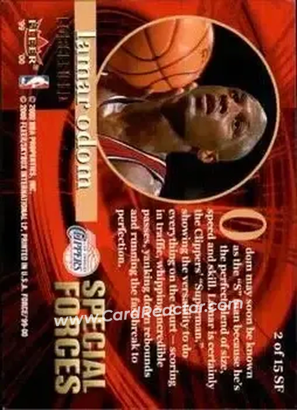 Back of Lamar Odom