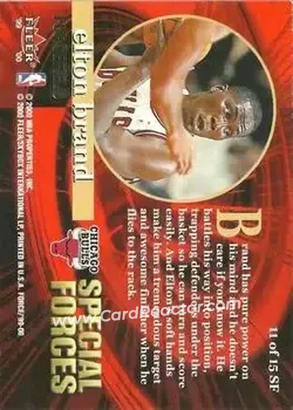 Back of Elton Brand