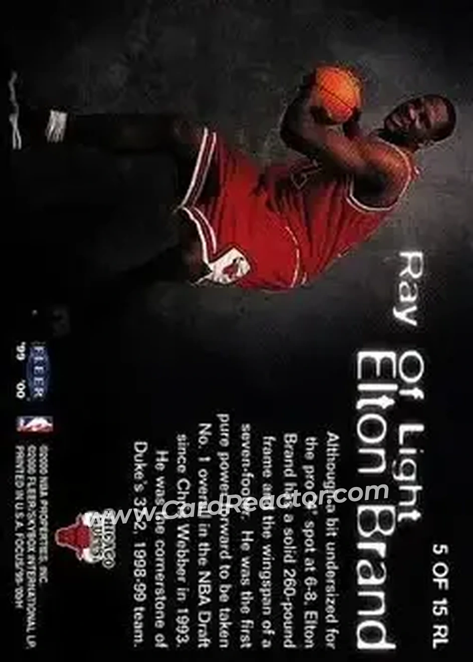 Back of Elton Brand