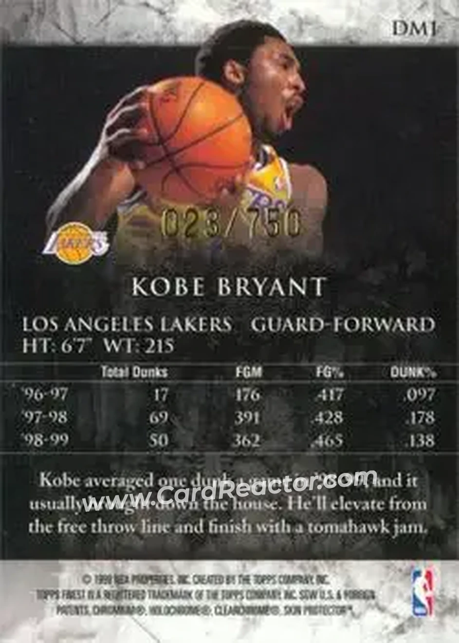 Back of Kobe Bryant