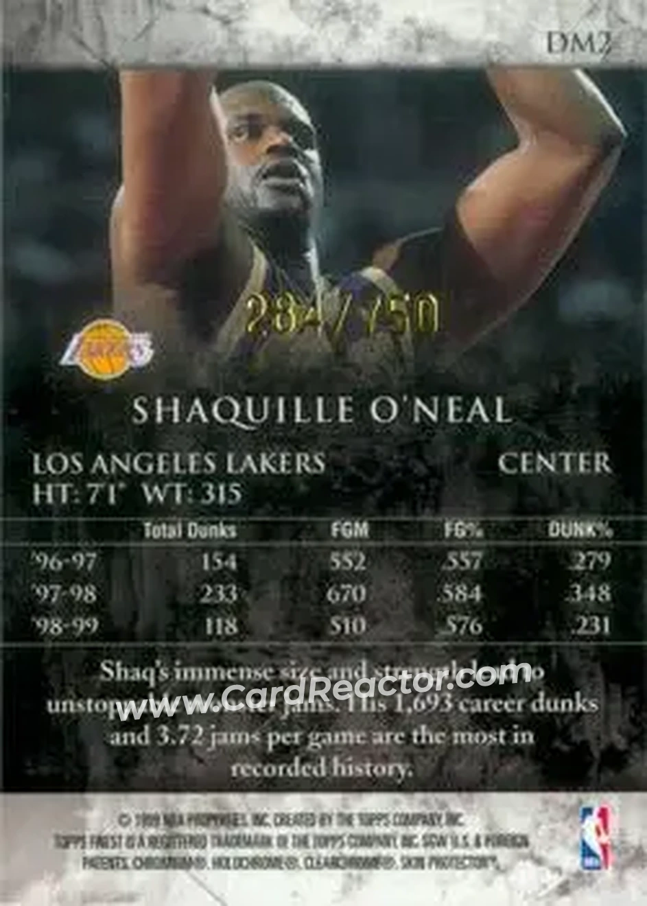 Back of Shaquille O'Neal