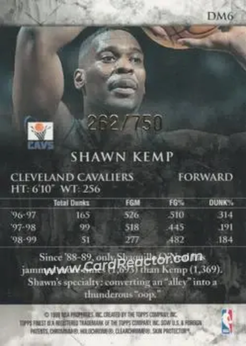 Back of Shawn Kemp