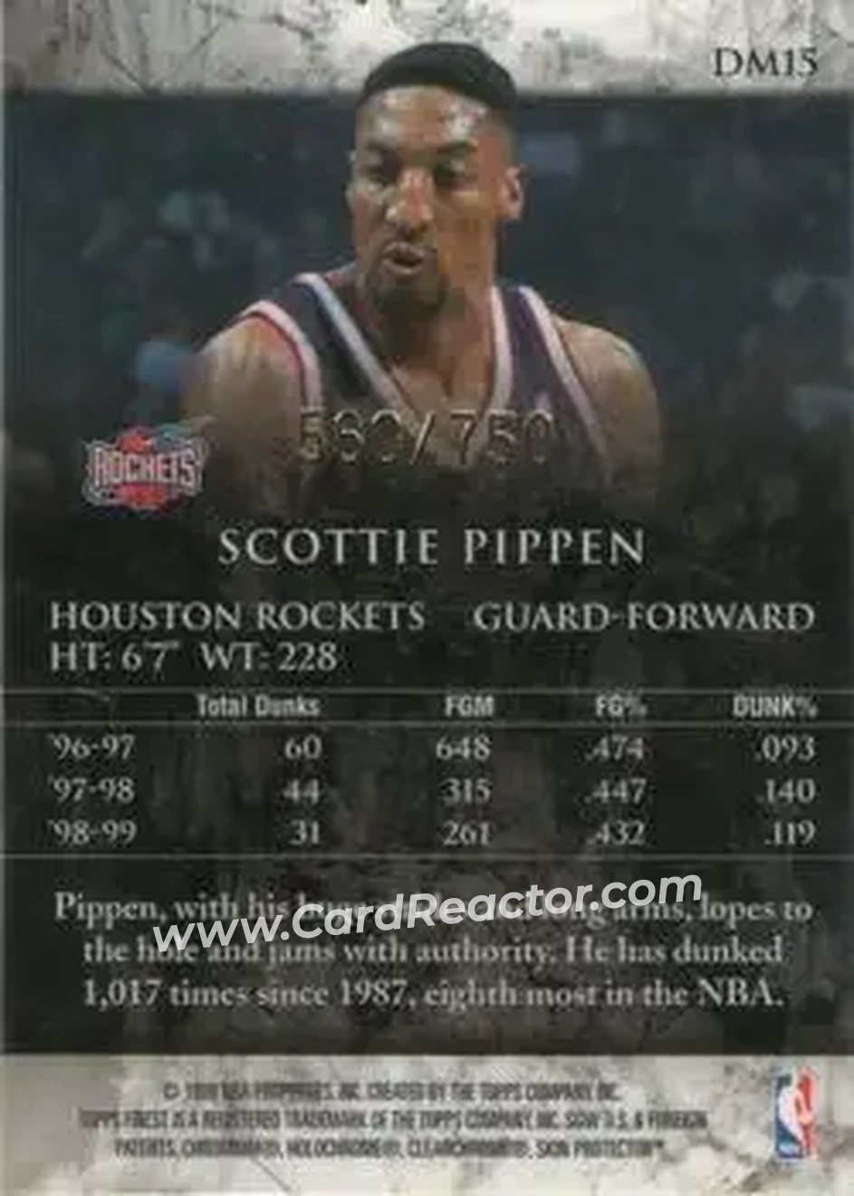 Back of Scottie Pippen