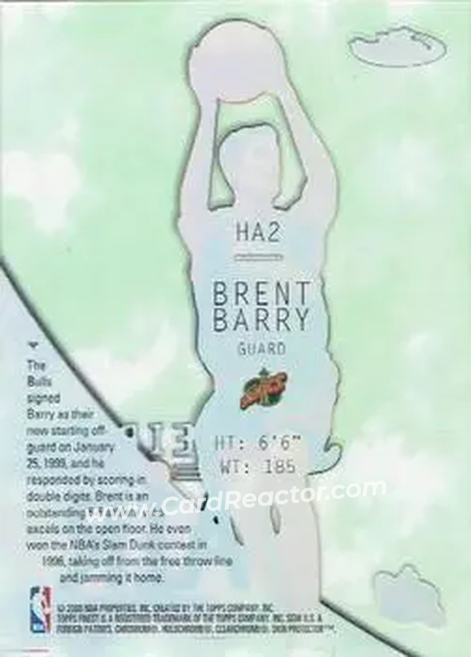 Back of Brent Barry
