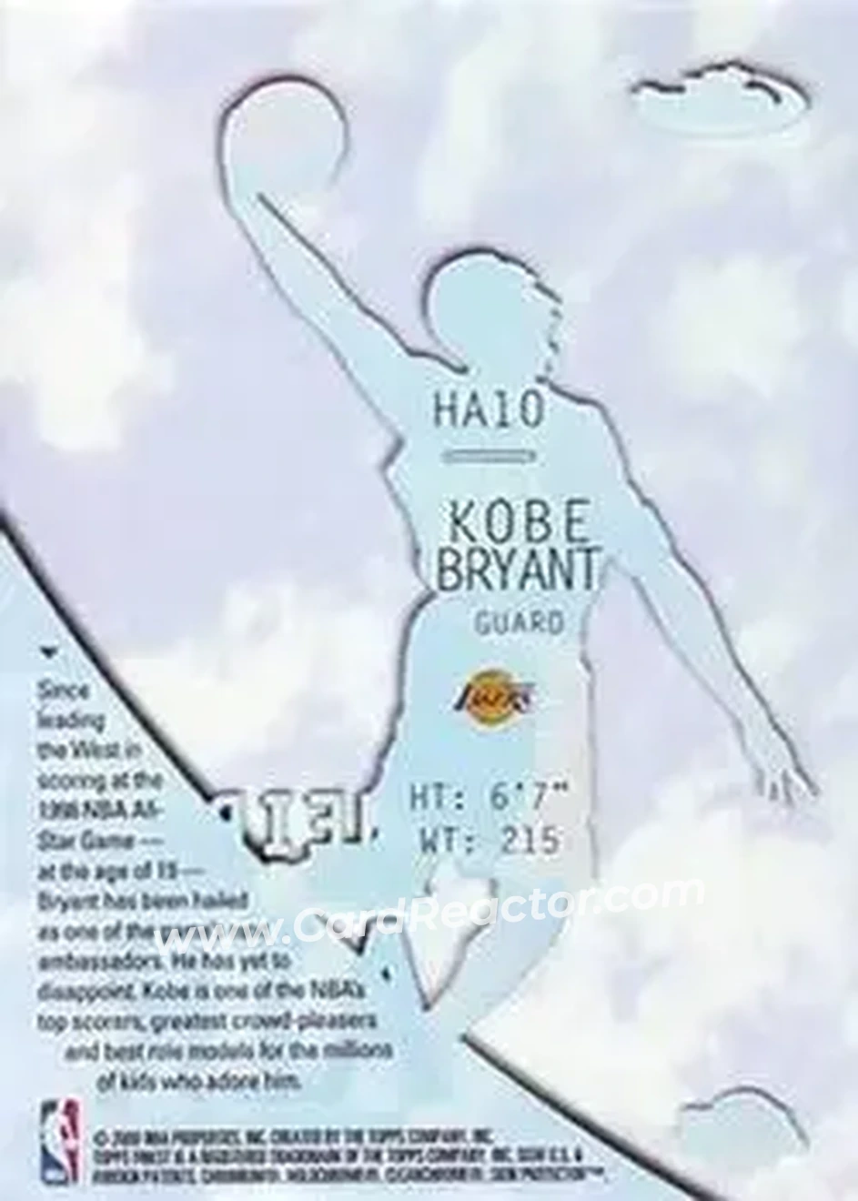 Back of Kobe Bryant
