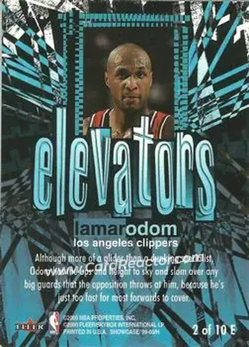 Back of Lamar Odom