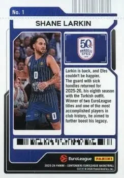 Back of Shane Larkin