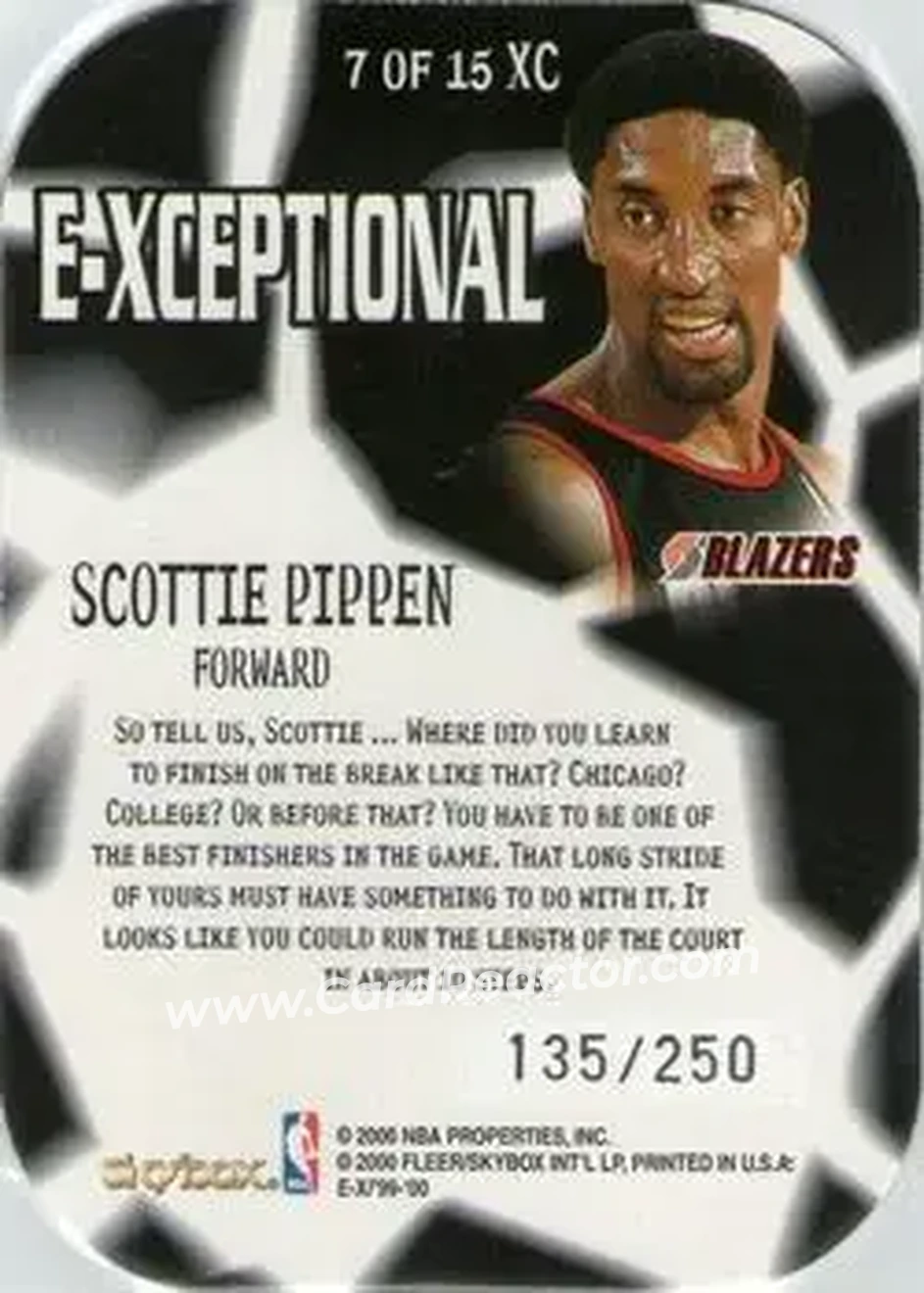 Back of Scottie Pippen
