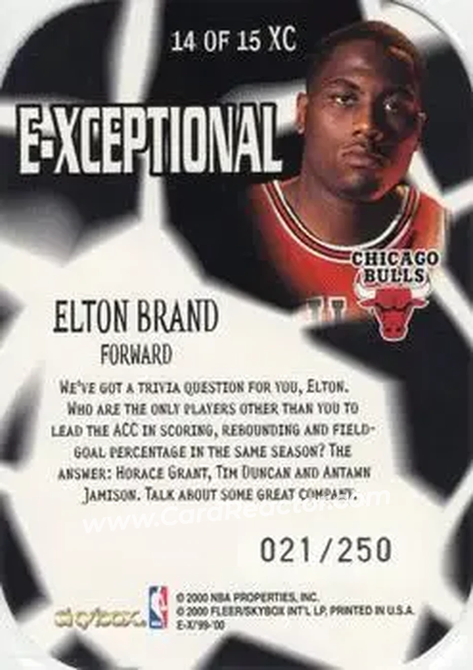 Back of Elton Brand
