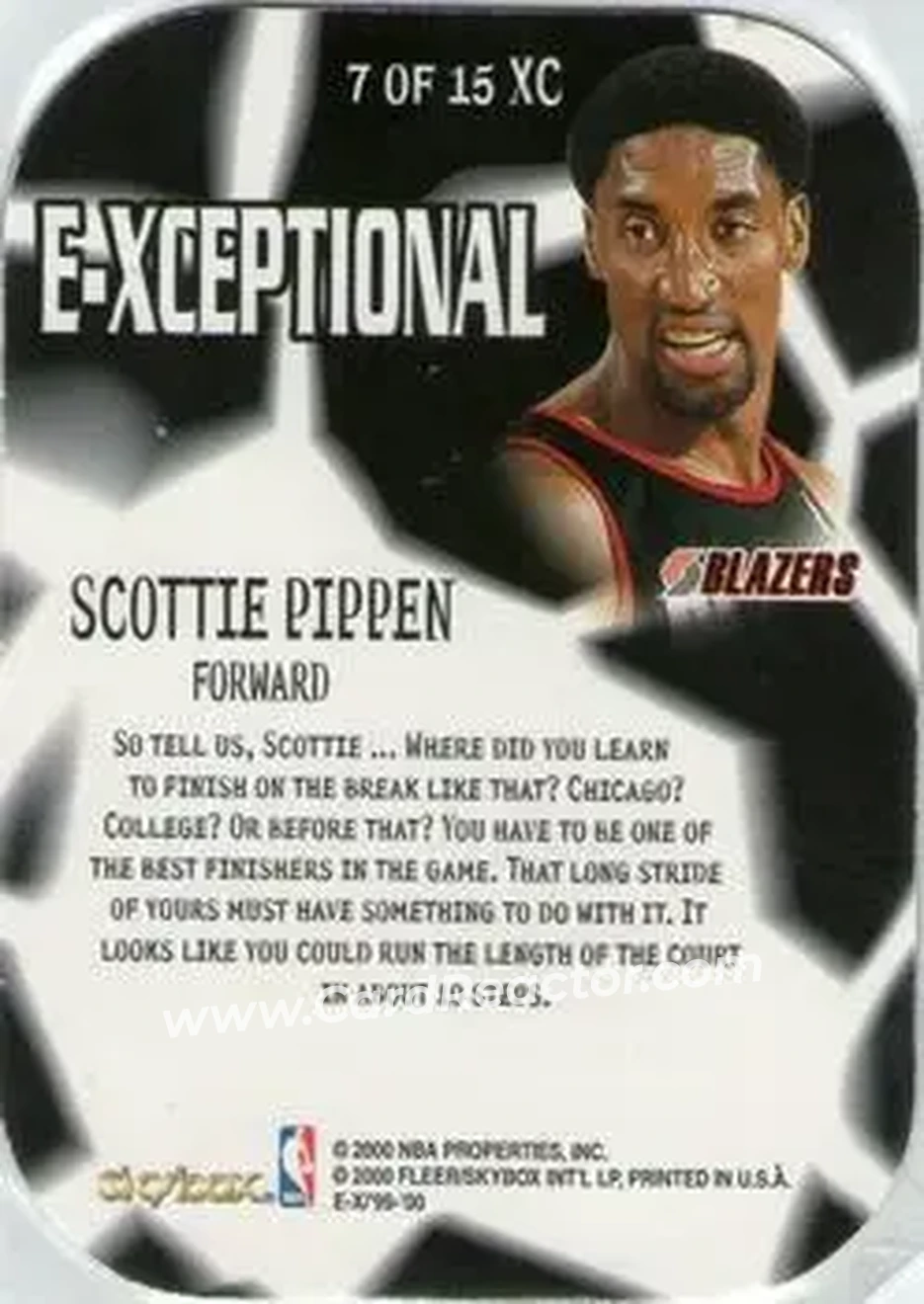 Back of Scottie Pippen